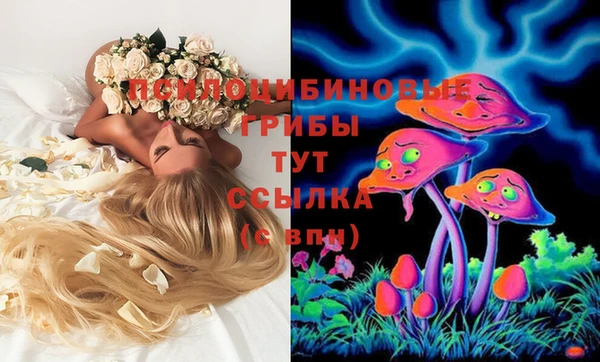 трава Абаза