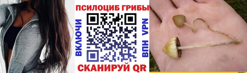kraken ссылки Сорск Галлюциногенные грибы MAGIC MUSHROOMS цены